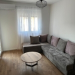 One-bedroom apartment, 44m2, Pobrežje, FOR RENT